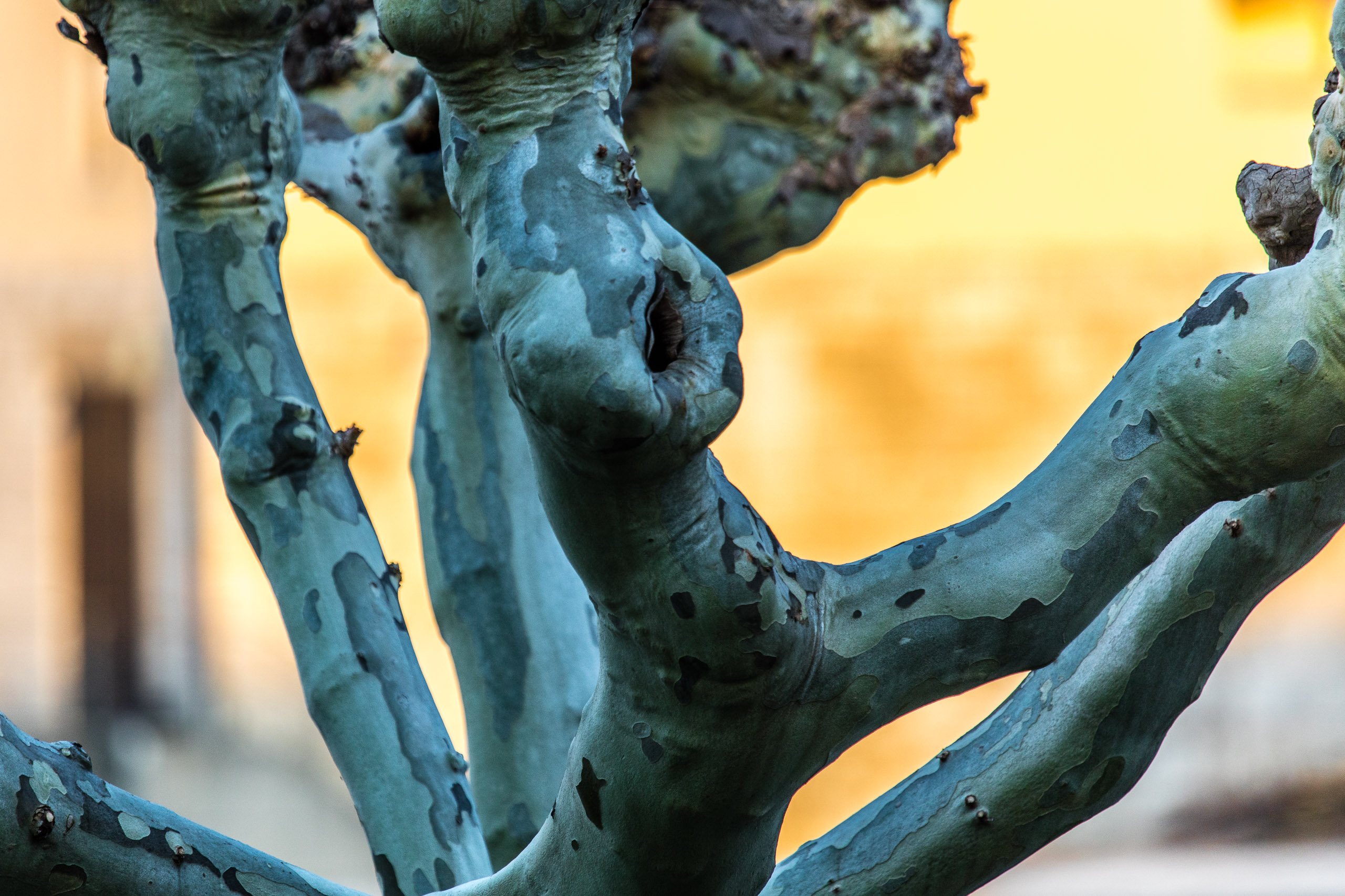 20190330180557 DP010228